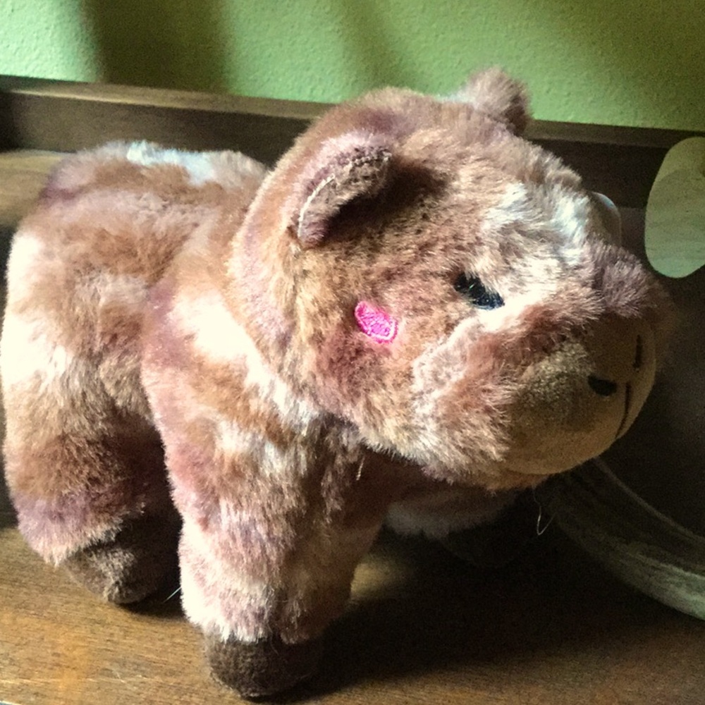 Capybara toy stuffed animal toy travel companion rodeo farmer’s market